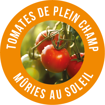 LOGO TOMATES DE PLEIN CHAMP