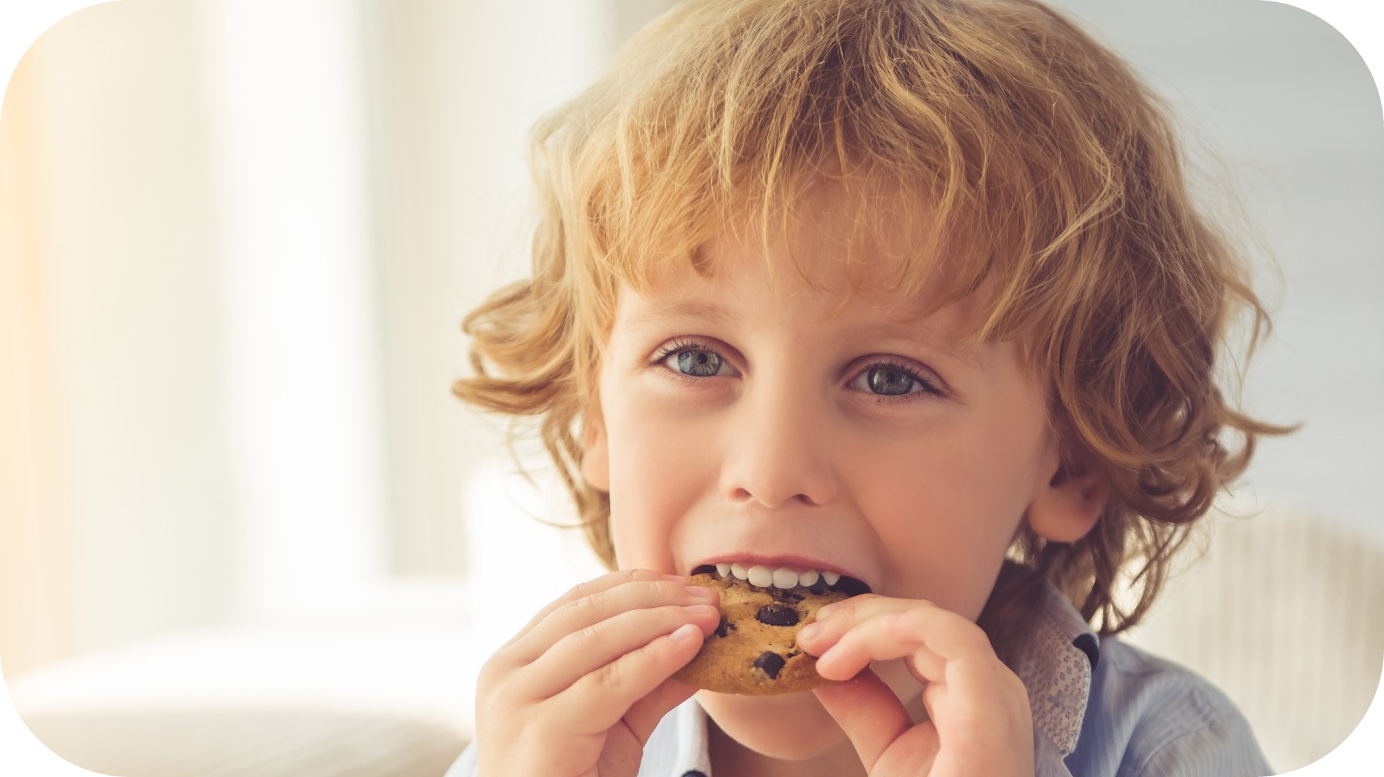 garçon mangeant cookie